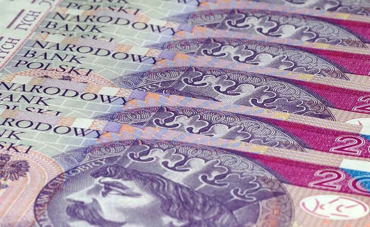 banknoty / autor: Pixabay