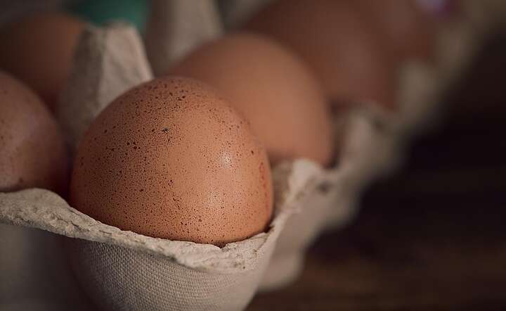 Ceny jaj nadal będą rosły, ale w ograniczonej skali / autor: Pixabay