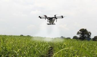 NCBR ma 100 mln zł na rozwój rolnictwa 4.0