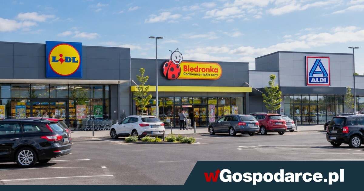 Aldi dołącza do pełnoskalowej wojny cenowej Lidla z Biedronką!