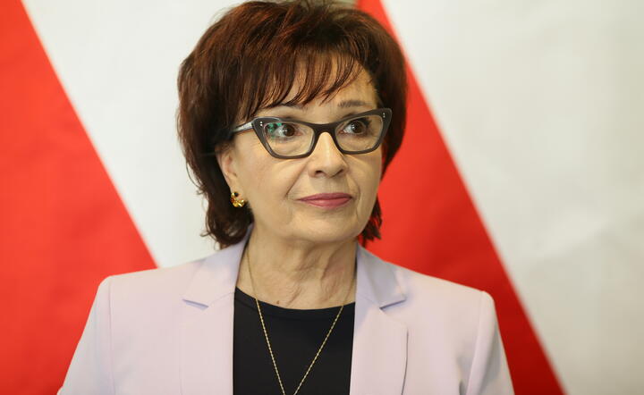 Elżbieta Witek / autor: PAP/Zbigniew Meissner