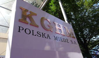 Polska siła