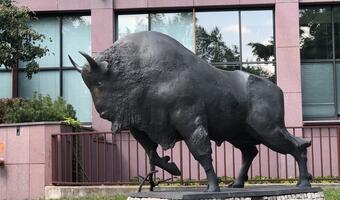 Pekao kontynuuje dotychczasową strategię