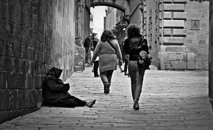 fot. Pixabay / autor: fot. Pixabay