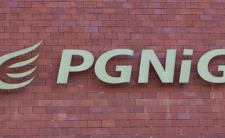 PGNIG / autor: Fratria