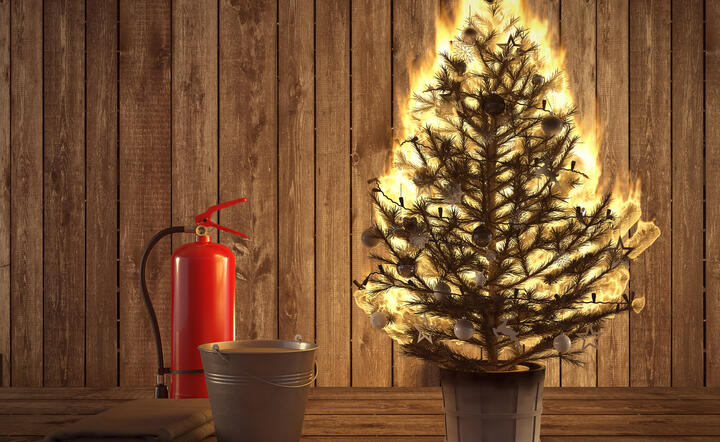 Zdjęcie ilustracyjne / autor: AdobeStock