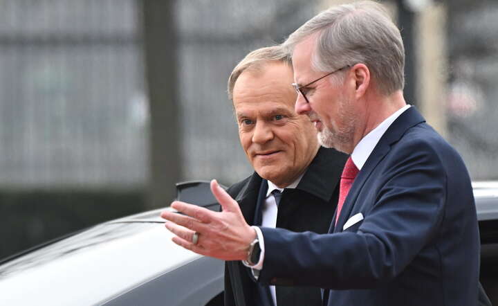 Premier RP Donald Tusk / autor: PAP