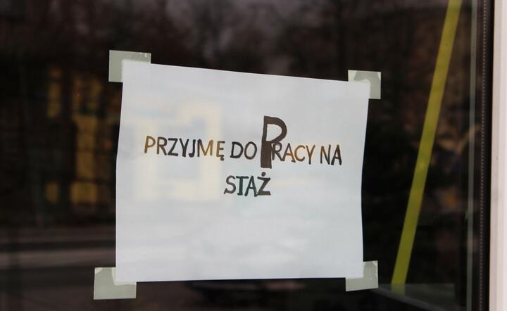 Autentyczne ogłoszenie w sprawie pracy z 2013 roku, gdy rządziła koalicja PO-PSL / autor: Fratria / MK