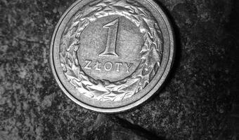 Złoty najtańszy do dolara od 2002 roku
