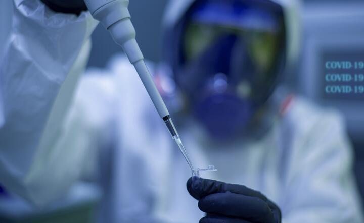 Pfizer! Myślę, że to tak się zaczęło