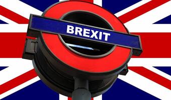 Spór o brexit. Brytyjczycy podzieleni ws. wyjścia z Unii