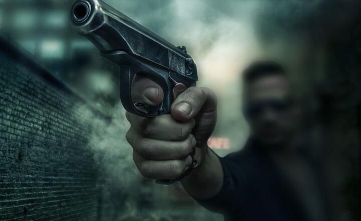 Mafia rozbita w Kalabrii w wielkeij operacji antymafijnej / autor: Pixabay