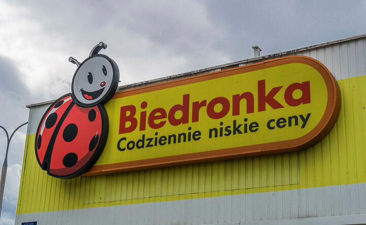 Biedronka / autor: Fratria