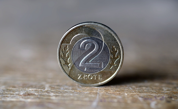 Kurs walut 4 lipca 2024 roku / autor: Pixabay