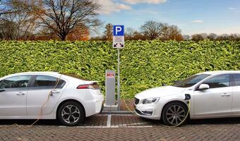 Diesle jednak bardziej eko niż elektryki?