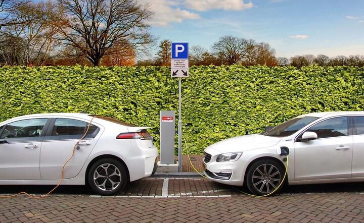 Diesle jednak bardziej eko niż elektryki?