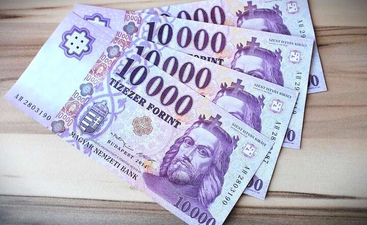 Dzisiejszy ruch ze strony węgierskich władz monetarnych był powszechnie oczekiwany / autor: Pixabay