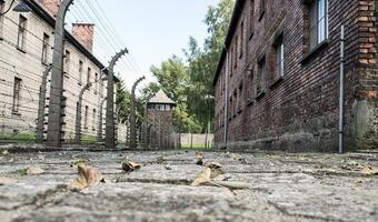 Auschwitz: Wsłuchać się w głos ocalałych