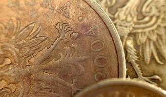 Złoty wyceni postawę RPP