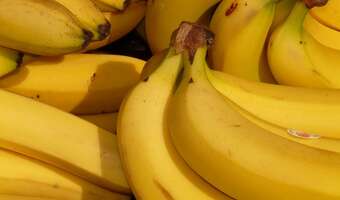 Szokujące znalezisko: kokaina w bananach!