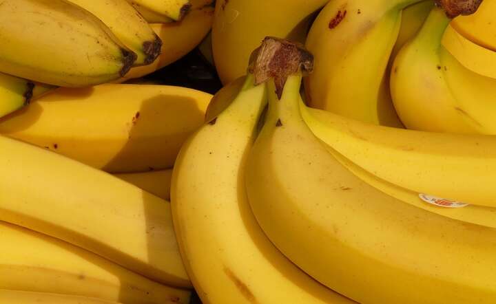 Narkotyki ukryto w transportowanym z Ekwadoru kontenerze z bananami / autor: Pixabay