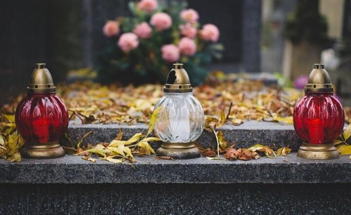 znicz / autor: Pixabay