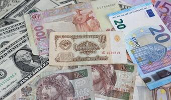 W trzy lata z Rosji wyprowadzono 22 mld dolarów. Do Polski trafiło 21 tys. euro