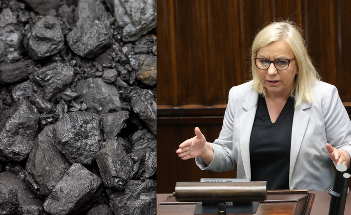 Górnictwo i minister klimatu i środowiska / autor: PAP/Pixabay