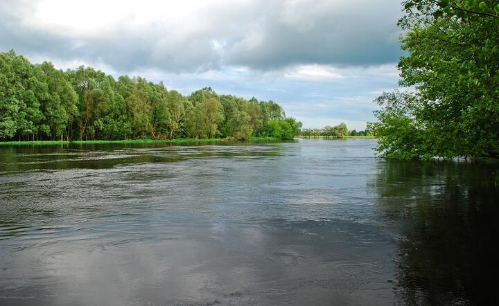 Bug na Podlasiu, okolice Janowa Podlaskiego Fot. Małgorzata Piekarska