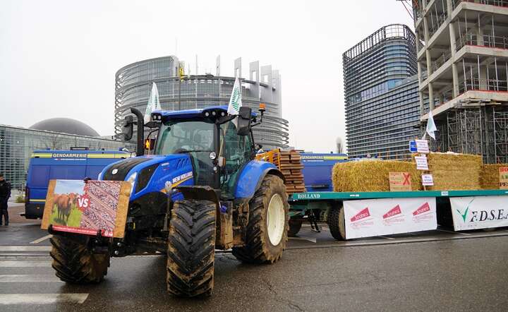 Protest francuskich rolników przeciw umowie UE-Mercosur przed siedzibą Parlaentu Europejskiego w Strasburgu / autor: Fratria /MK