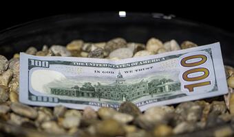 Dolar umacnia się przed publikacją ADP i PKB z USA