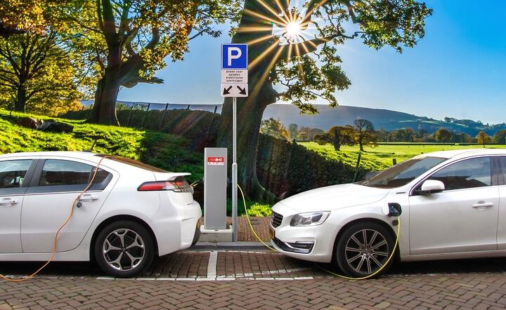 Od stycznia br. liczba pojazdów całkowicie elektrycznych zwiększyła się prawie o 7,8 tys. / autor: Pixabay