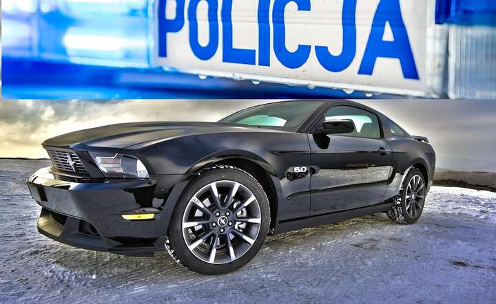 Odebrany pijanemu kierowcy Ford Mustang będzie policyjnym radiowozem / autor: Pixabay / Fratria