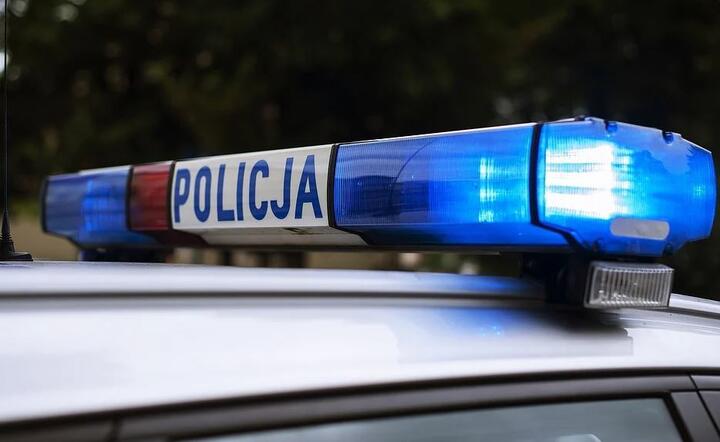Policja  / autor: Pixabay