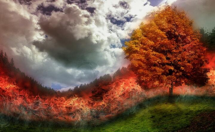 Zdjęcie ilustracyjne / autor: pixabay.com