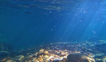 Wykupimy 3 koncesje na ekplorację dna oceanów