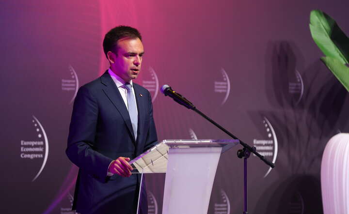 Wystąpienie ministra finansów Andrzeja Domańskiego podczas debaty "Finansowanie inwestycji" w ramach Europejskiego Kongresu Gospodarczego w Międzynarodowym Centrum Kongresowym w Katowicach / autor: PAP