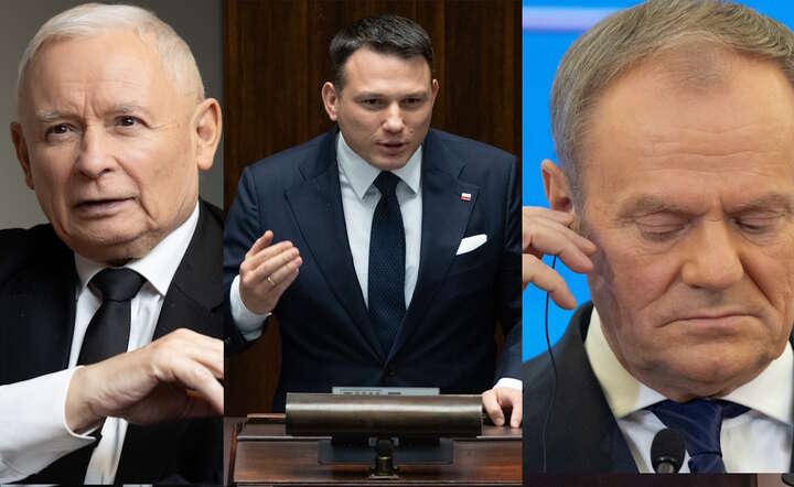 Rząd / autor: Fratria