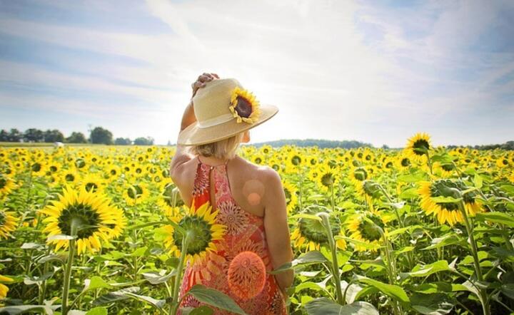 W Polsce temperatura przekroczy 30 stopni w ciągu dnia / autor: Pixabay