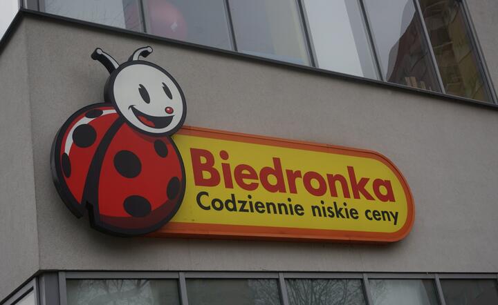 Biedronka / autor: Fratria