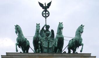 Westerwelle ostrzega Camerona
