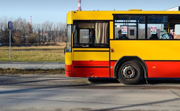 Autobus - zdjęcie ilustracyjne  / autor: Pixabay 
