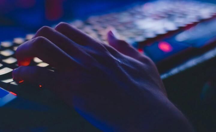 Zdjęcie ilustracyjne / autor: Pexels.com