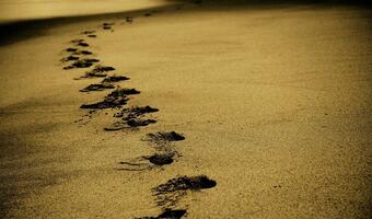 Włoskie szaleństwo: Więzienie za piasek z plaży