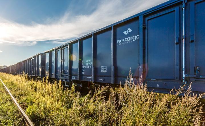 Wagon PKP Cargo / autor: Pixabay