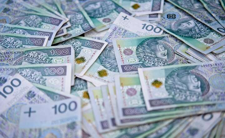 Wartość gotówki w obiegu to już 500,8 mld zł / autor: Pixabay