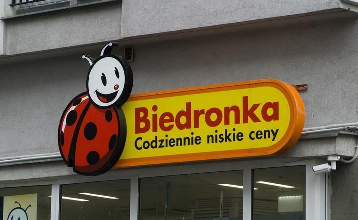 Biedronka / autor: Fratria