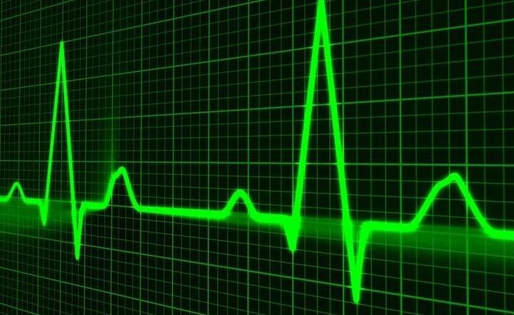 Puls / autor: Pixabay 