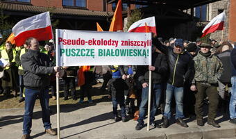 Minister środowiska: w 2/3 nadleśnictw w Puszczy Białowieskiej zabiegi ratujące drzewostan