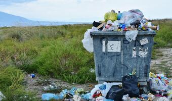 Polacy marnują żywność. Te produkty lądują w koszu